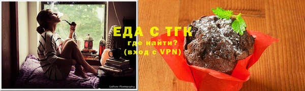 МДПВ Бородино