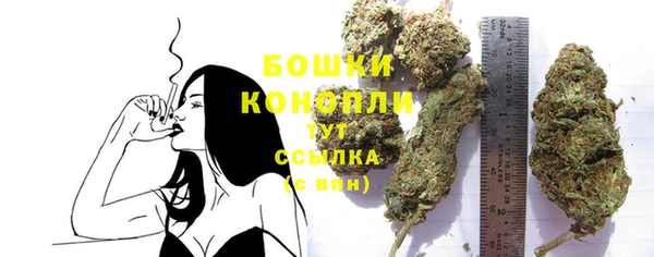 МДПВ Бородино