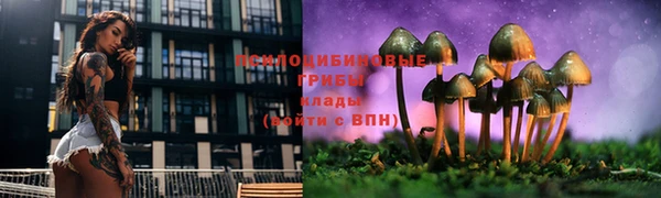 гидропоника Бугульма