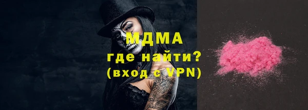 МДПВ Бородино