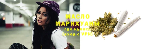 МДПВ Бородино