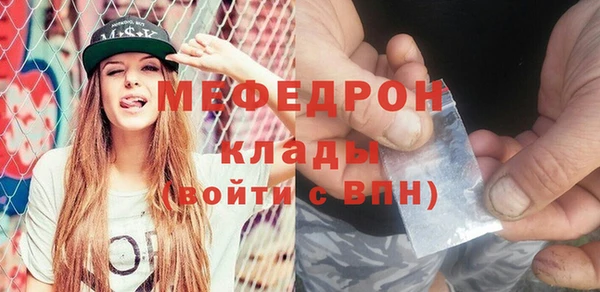 МДПВ Бородино