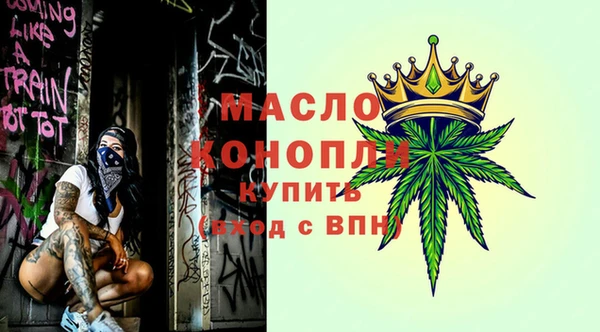МДПВ Бородино
