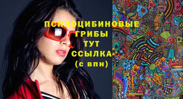 гидропоника Бугульма