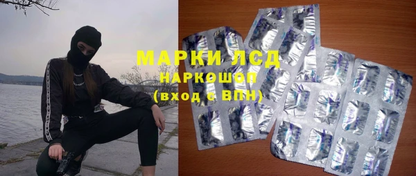 МДПВ Бородино