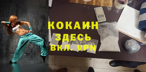 МДПВ Бородино