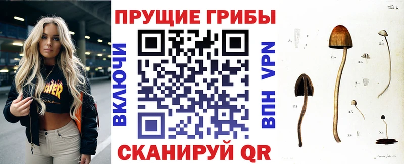 купить  цена  ОМГ ОМГ ссылка  Псилоцибиновые грибы Magic Shrooms  Невьянск 